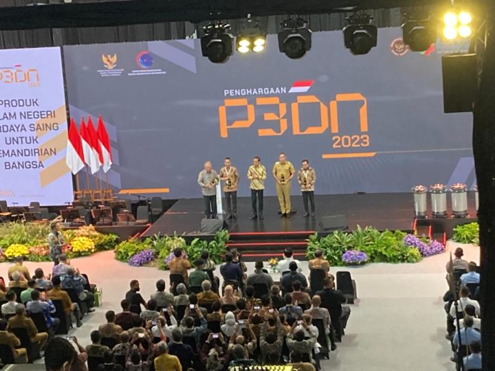 Penghargaan P3DN oleh Presiden Joko Widodo